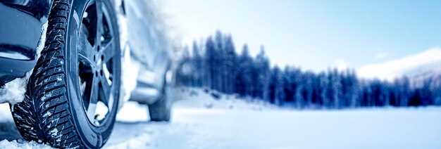 [Choosing the Right Storage Environment for Winter Tires]